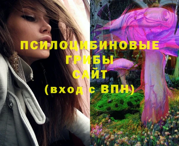 дурь Михайловка