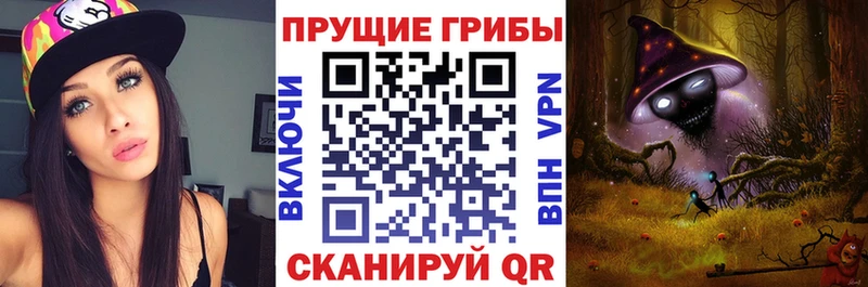 купить  цена  Кемь  Псилоцибиновые грибы Psilocybine cubensis 